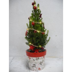 Sapin vert et sa guirlande...